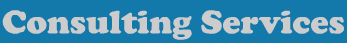 Consulting Services